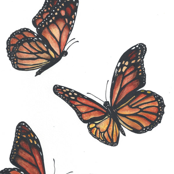 Monarch Butterflies Print